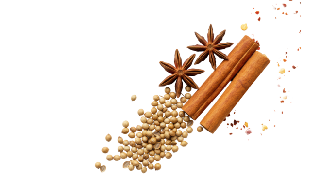 Artfully scattered coriander, star anise, cinnamon, and chili flakes forming a diagonal on a transparent background, for exotic culinary concept