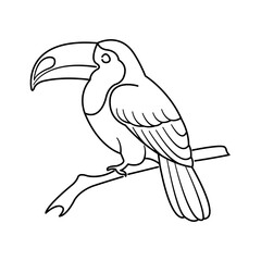 toucan bird on branch