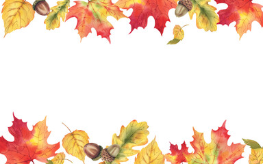 Autumn leaves of maple, oak, birch, aspen, and acorns on a white background, painted in botanical style with watercolors. Rectangular frame for autumn decor. Thanksgiving card