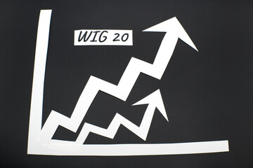 WIG20 – stock exchange index of the 20 largest joint-stock companies listed on the Warsaw Stock Exchange.