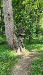 A photo of an animal feeder on a tree.