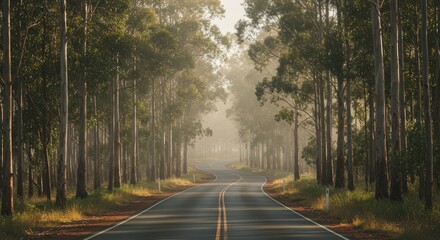Road through tall trees leads towards sunlit distant horizon on a daytime journey or travel