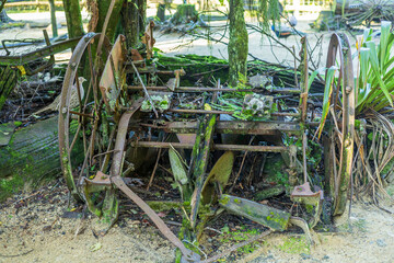 An old, rusted piece of farm machinery covered in moss and surrounded by vegetation in a natural outdoor environment