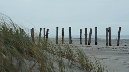Wanderlust Poster showing weathered wooden posts in coastal sand dunes, a minimalist seaside wanderlust scene capturing simplicity and calm exploration