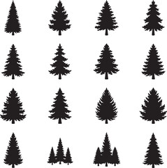 Fototapeta premium Evergreen Trees: A collection of elegant evergreen tree silhouettes, each exuding a sense of timeless beauty. These detailed representations capture the essence of the evergreen species