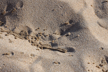 Splashes of water on beach sand