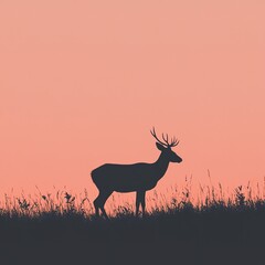 Silhouette of a deer with antlers standing in tall grass against a soft pink sunset sky.
