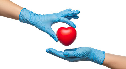 Medical professional's gloved hand transferring a small red heart to another gloved hand on a transparent background
