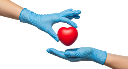 Medical professional's gloved hand transferring a small red heart to another gloved hand on a transparent background