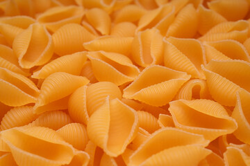 Dry conch shell pasta close-up.