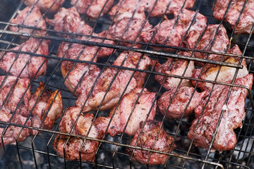 Pork Butt sliced on BBQ. Shish kebab. Pieces of pork on the grid, grilled meat with smoke. Food preparation process. Marinated spiced fillet meat cooked on charcoal barbeque grill. Outdoors cooking.