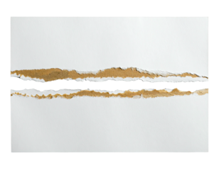 Ripped white paper with brown cardboard tear line