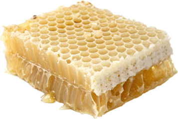 Piece of Natural Honeycomb, Transparent Background