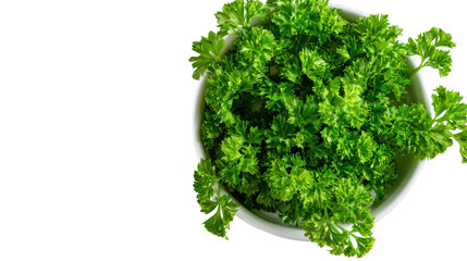 Obraz premium Fresh green parsley in a white bowl on a white background.