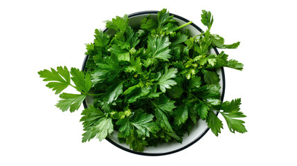 Obraz premium Fresh green parsley leaves in a black and white bowl on a white background.