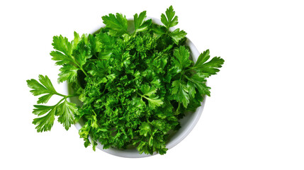 Fototapeta premium Freshly chopped parsley in a bowl, isolated on a white background.