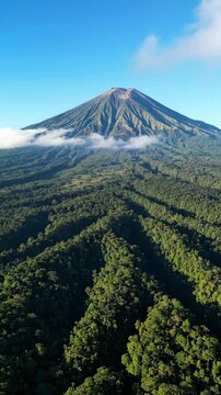 Aerial View of Mount Arjuno and Lush Tropical Rainforest, Indonesia
