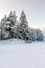 Fototapeta premium Bansko, Bulgaria resort panorama with snow cannon
