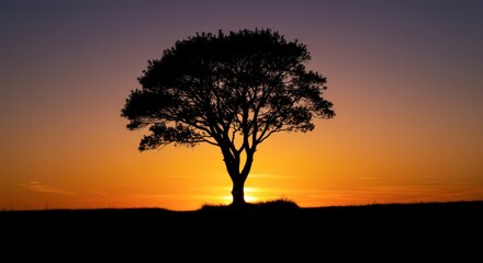 Silhouette of solitary tree against vibrant orange sunset sky peaceful nature scenic landscape