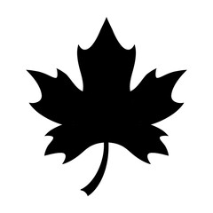 Autumn Leaf Silhouette Vector Isolated on Transparent Background