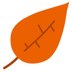 가을에 볼 수 있는 단풍잎 나뭇잎