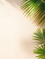 Minimalist background with green palm leaves and soft shadows