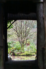 A peaceful view of a bare-branched tree framed through a rustic wooden structure