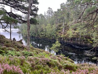 Glen Affric, au c&oelig;ur des Highlands d'Ecosse une vall&eacute;e exceptionnelle