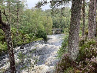Glen Affric, au c&oelig;ur des Highlands d'Ecosse une vall&eacute;e exceptionnelle