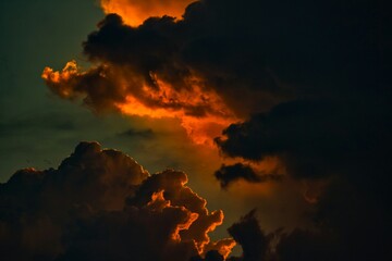 fire in the forest