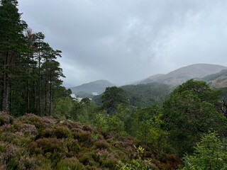 Glen Affric, au cœur des Highlands d'Ecosse une vallée exceptionnelle