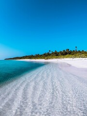 tropical beach with palm trees