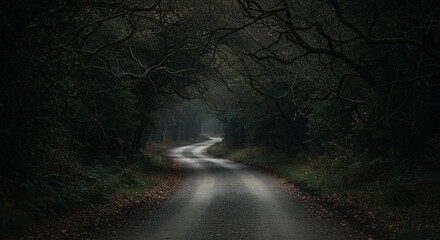 Winding road through a dark forest with overhanging branches and atmospheric lighting