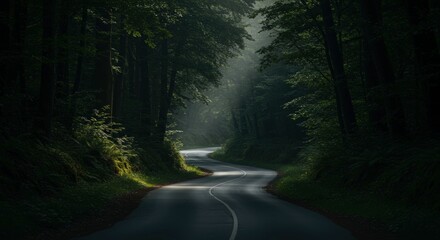 Obraz premium Winding road through dense forest with sunlight filtering through the trees creating a serene natural landscape