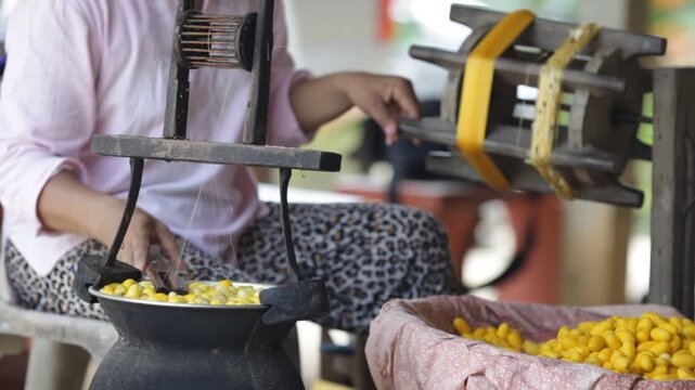 Silkworm cocoon with detailed texture, natural light, concept of silk production, sericulture, and Thailand, traditional textile industry.