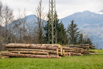 Stack of Cut Logs on a Grassy Hillside with Mountains and Power Pylon in the Background
