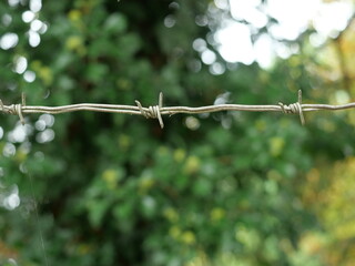 Sharp-focused barbed wire with traces of rust against blurred green background, symbol of boundary and barrier. Copyspace.