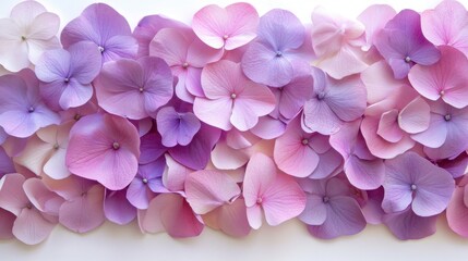 Flat lay of hydrangea petals in blush and lavender tones creating a delicate, aesthetic design