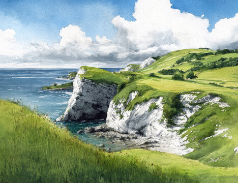 landscape with green grass and blue sky