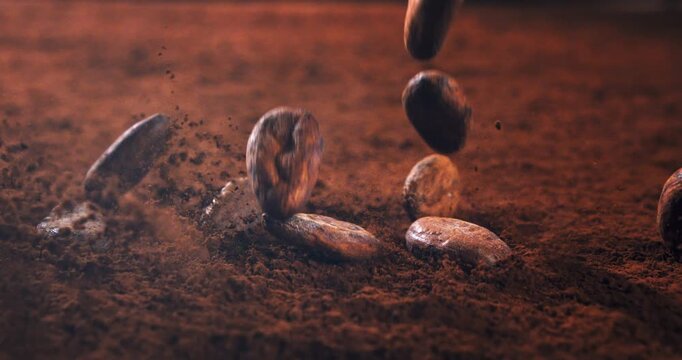 Slow Motion Close Up of Cocoa Beans Falling on a Bed of Fine Cocoa Powder, Creating a Rich Dusty Explosion that Evokes the Essence of Chocolate Making and Artisan Confectionery Traditions at 1000 fps.