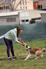 Dog playing with the trainer on a field