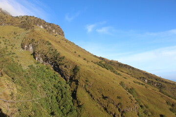 Beautiful nature photograph featuring a steep mountain slope covered in lush green vegetation, including scattered shrubs and small trees