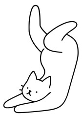 A cat does yoga in a strange asana