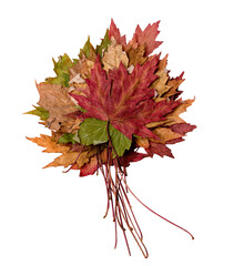 Jesienny bukiet © wojciech halama