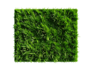 Top-down view of a rectangular patch of vibrant green grass