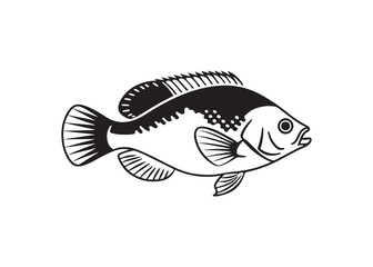 Freshwater bass fish vector silhouette, black aquatic animal design.