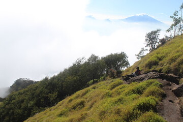 Fototapeta premium Peaceful landscape photograph capturing a lush green hillside with scattered trees and a lone hiker seated on a rock, gazing into the mist-covered valley below