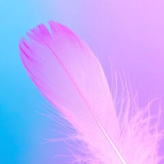 Obraz premium Close-up of a pastel pink feather