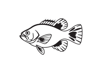 Freshwater bass fish vector silhouette, black aquatic animal design.