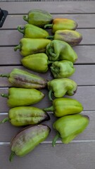 Fresh Green Peppers Harvested from the Garden for Culinary Delights and Healthy Cooking
